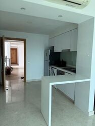Eight Riversuites (D12), Condominium #597319231